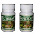 Dehlvi Gurmar Capsules - 60 Caps (Pack of 2)