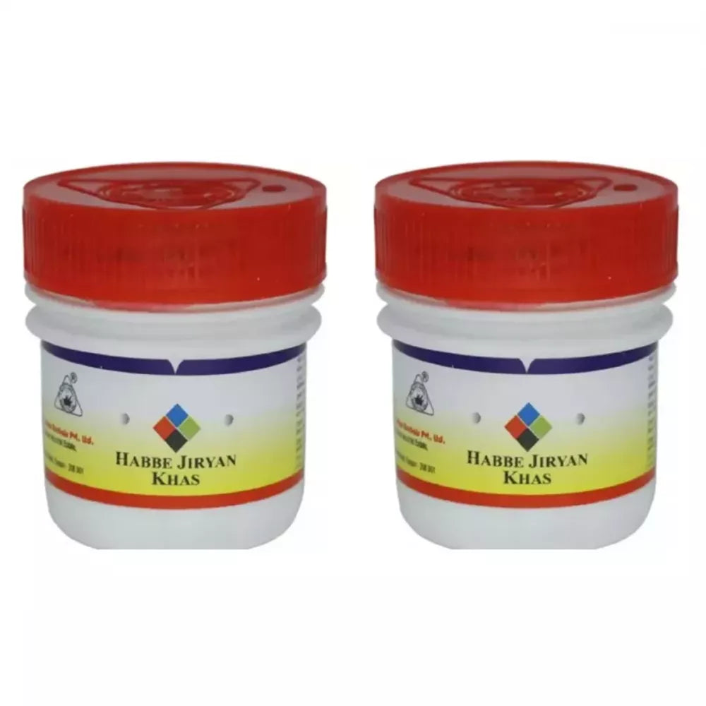 Dehlvi Habbe Jiryan Khas - 30 Tabs (Pack of 2)
