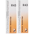 Dr Reckeweg R43 (Herbamine) - 22 ml (Pack of 2)
