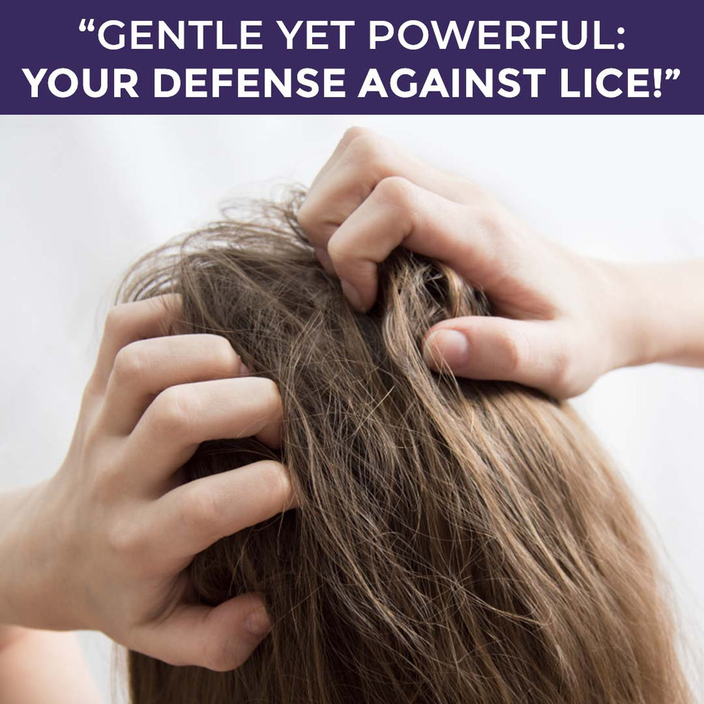 Sanfe Anti Lice and Dandruff Shampoo - 100 ml