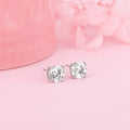 Silver Zircon Earrings