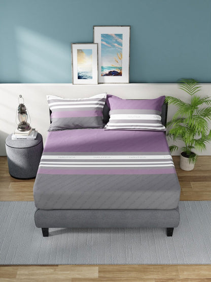 Nautica Bradford Purple & Grey Striped 160 TC Pure Cotton King Bedsheet & 2 Pillow Covers