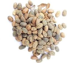 Namo Organics Raw jamalgota beej - 100g - Jamalghota beej - Jamal gota Seeds - for hair growth