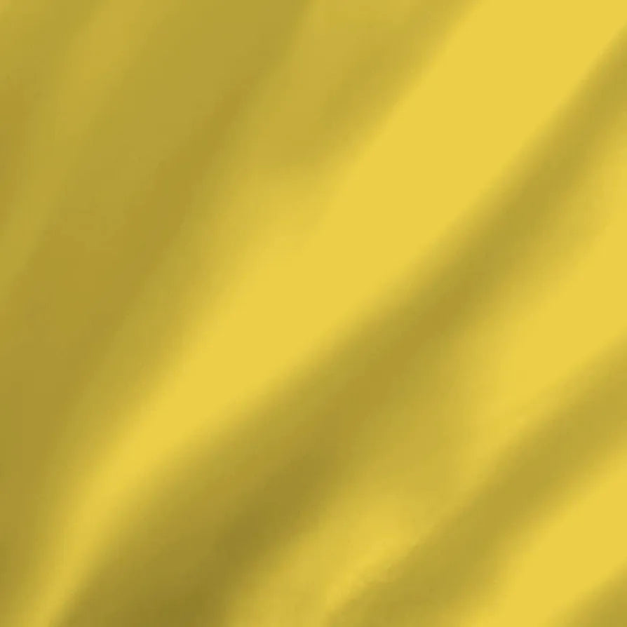 Layers Be Bold Cotton Bedsheet Set for All Seasons Lightweight Moisture Absorbent 140 TC King Size Yellow Paisley