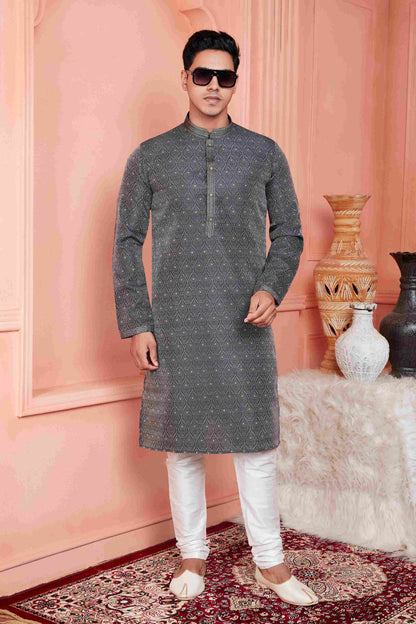 Raivat Ethnic Jacquard Banarasi Silk Pintux Work Kurta Pajama In Grey Colour