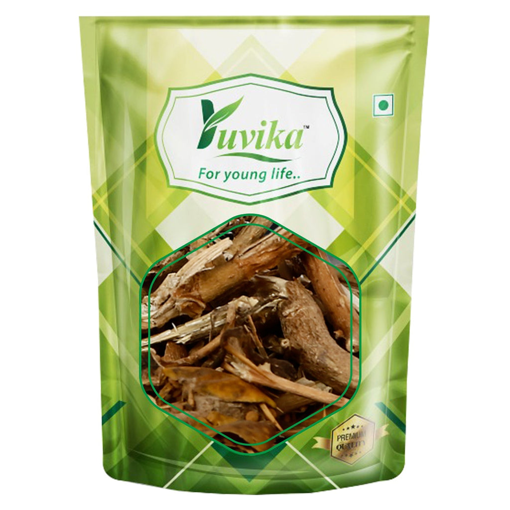 Yuvika Katehli Panchang Kateli Panchang Solanum Xanthocarpum Bhatkatiya