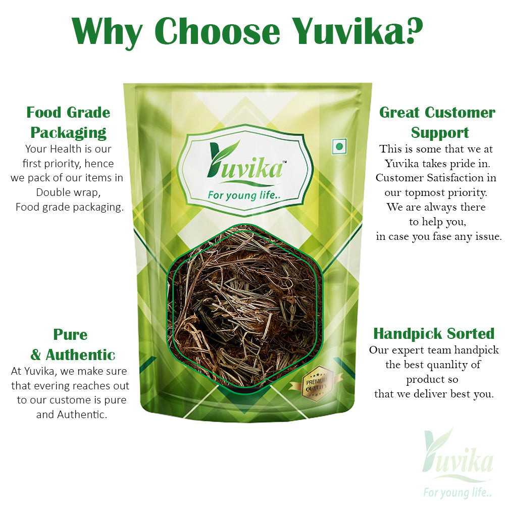 Yuvika Mayur Shikha - Adiantum incisum