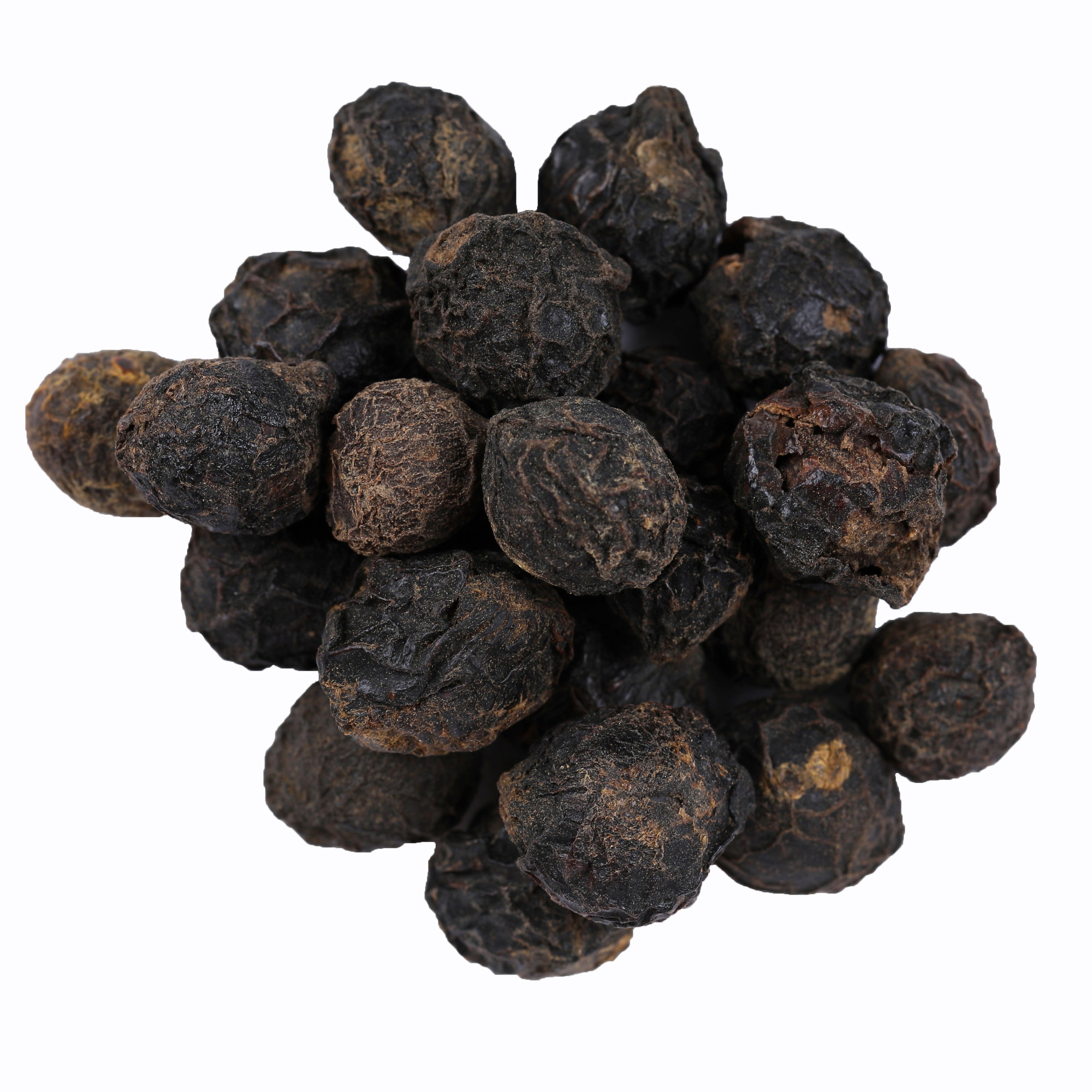 Yuvika Sugand Kokila - Cinnamomum Glaucescens - Cinnamon Berry