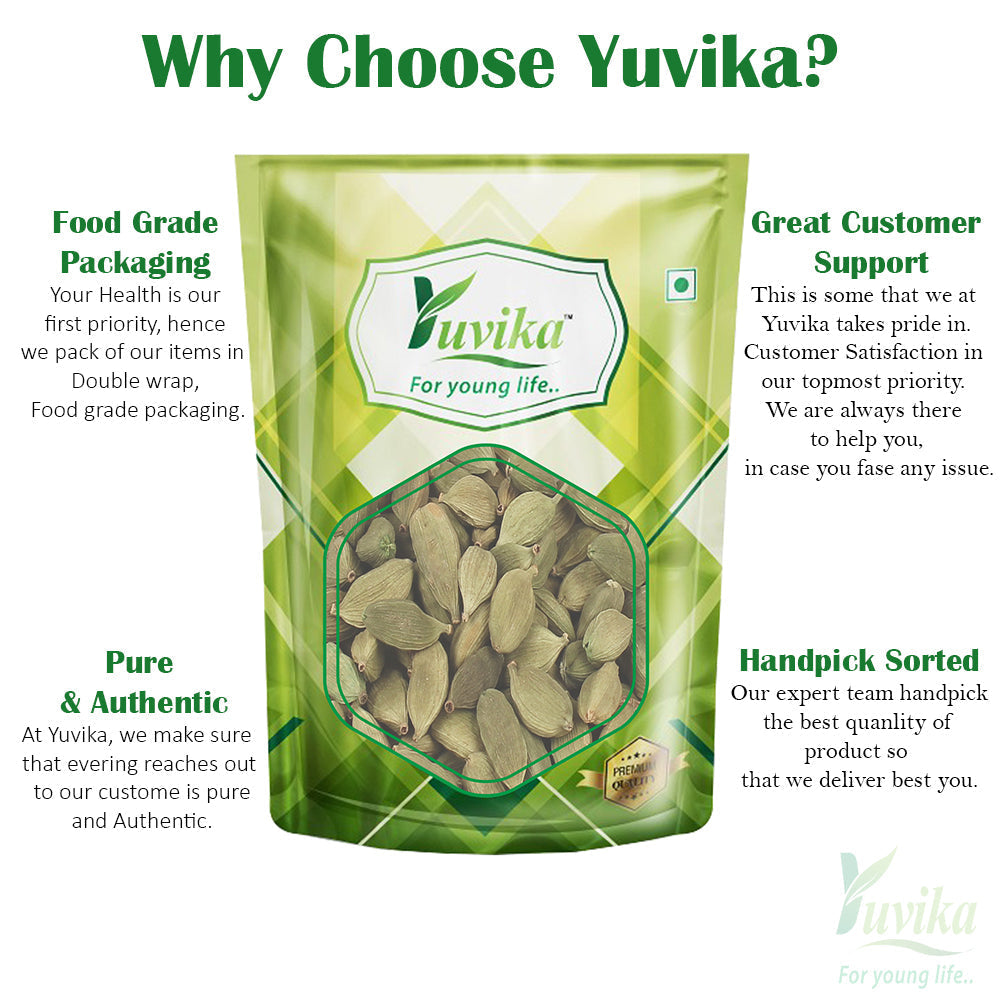 Yuvika Elaichi Choti - Elachi Choti  - Elettaria cardamomum - Green Cardamom Small