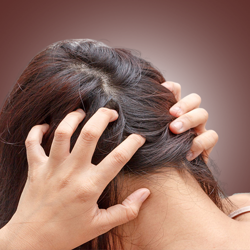 Tansukh Herbals Bhringraj Plus Hair Wash Shampoo