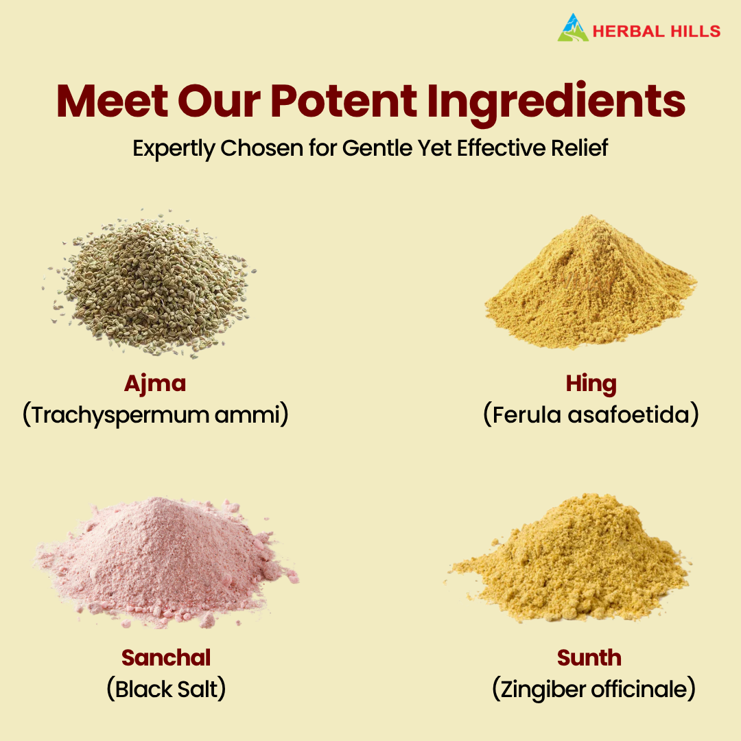 Herbal Hills Ayurveda Aramhills Powder