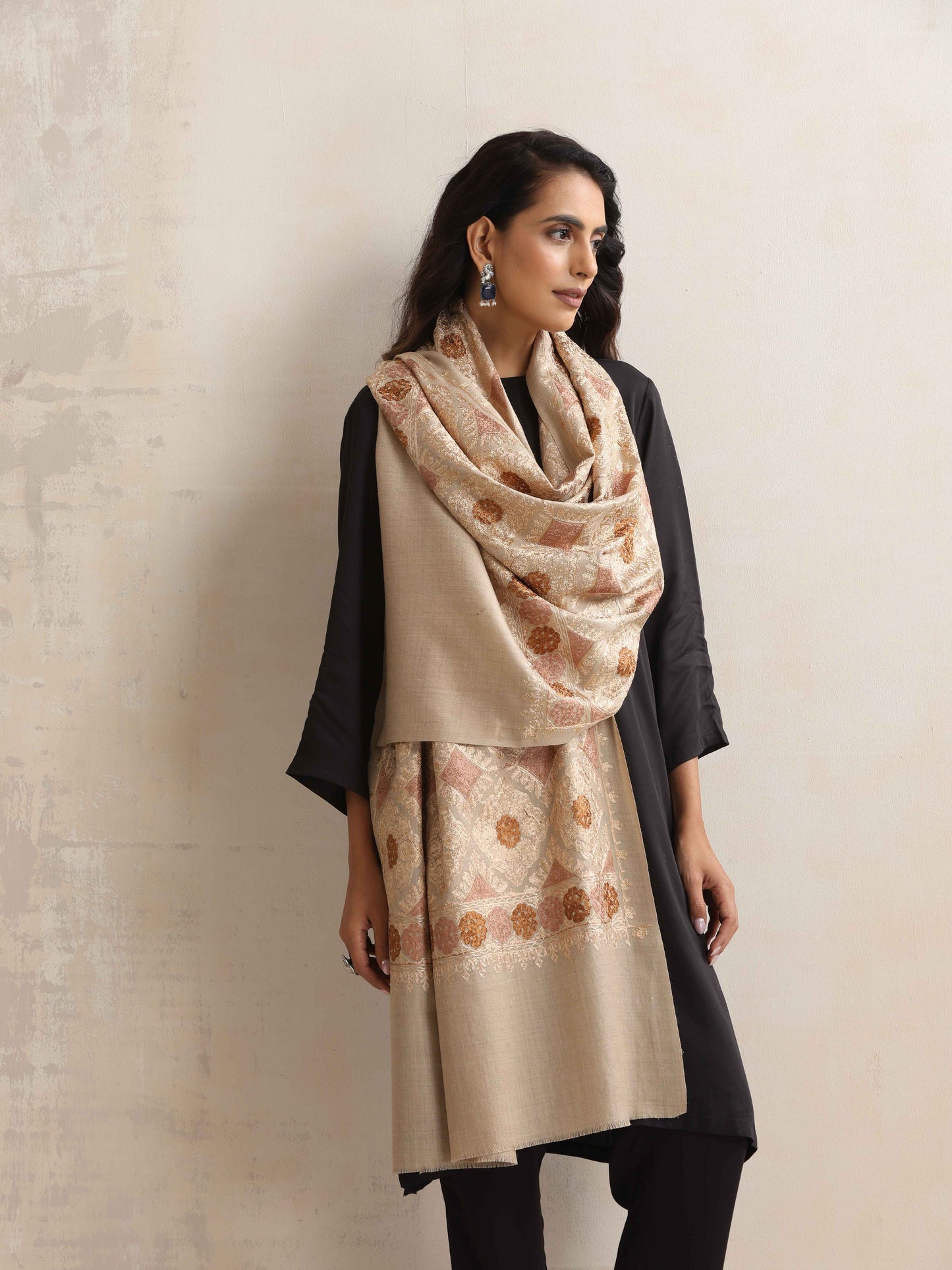trueBrowns Beige Geometric Embroidered Woollen Stole