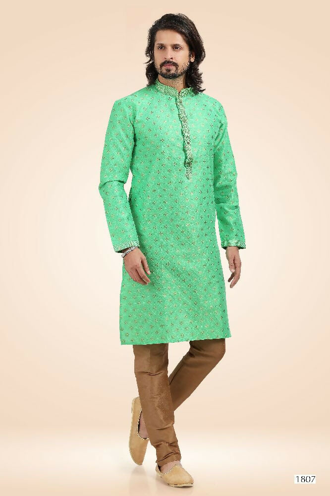 Raivat Ethnic Jacquard Banarasi Silk Pintux Work Kurta Pajama In Green Colour