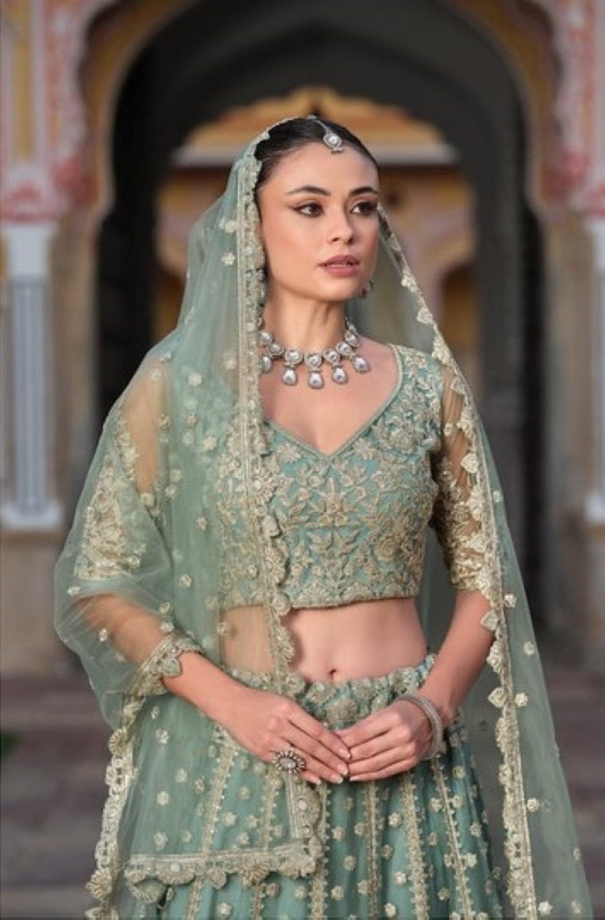 Anaita Green Net Lehenga Choli With Stone Embroidery Work