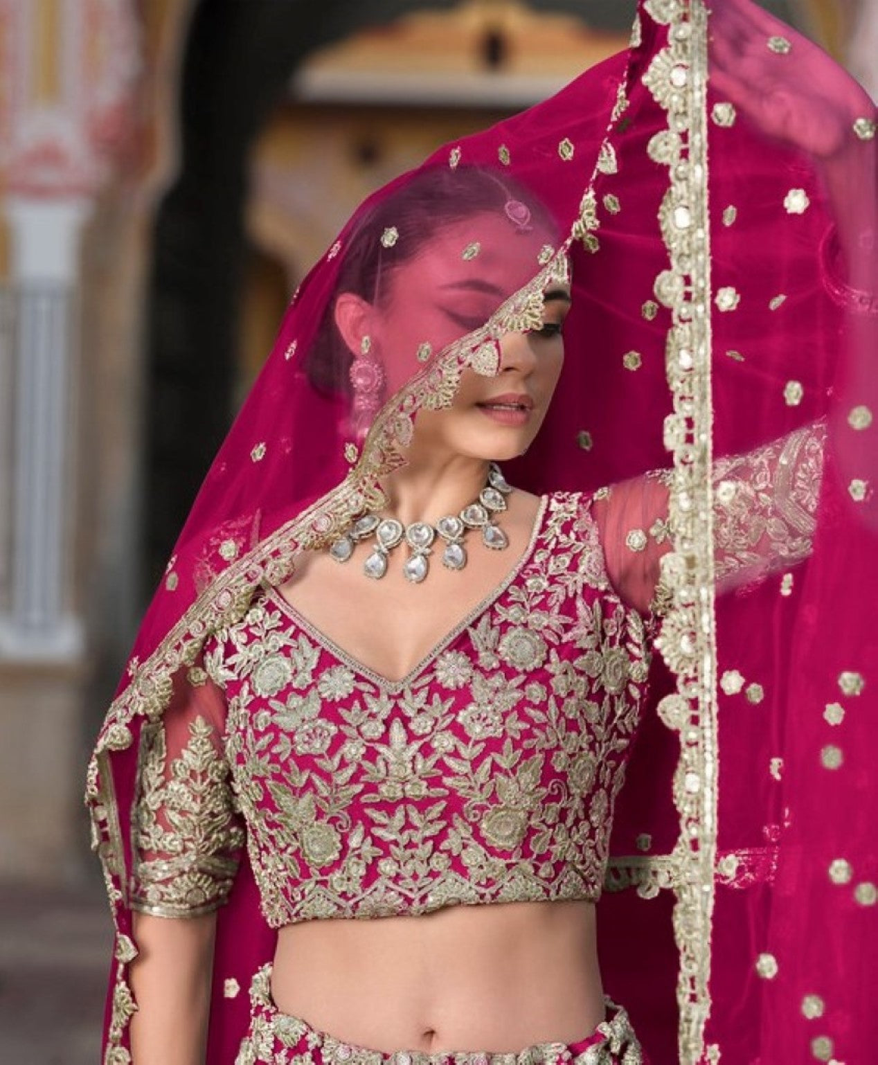 Anaita Magenta Net Lehenga Choli With Stone Embroidery Work