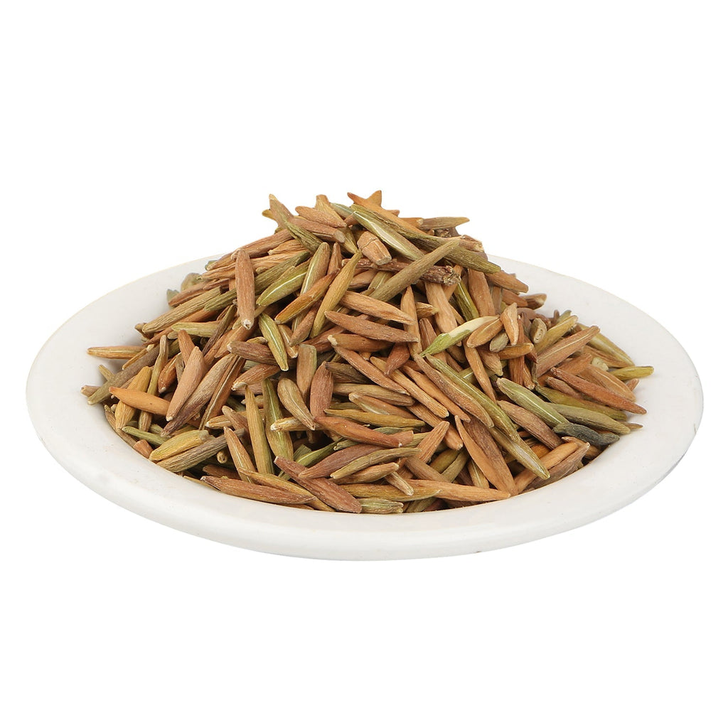 Yuvika Indrajau Meetha - Inderjoo Metha - Wrightia Tinctoria