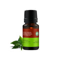 Inveda Tea Tree Essential Oil - 10 ml