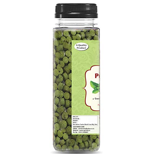 Agri Club Pudina Goli Mouth Freshener - 120 gms