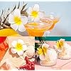 Artificial Big Foam Hawaaii Fake Foam Water Floating Flowers White