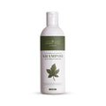 Being You Always Plant Based AHA Clarifying Shampoo White - 200 ml