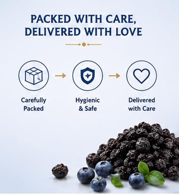 Regency Premium Dried Blueberries 75g | Natural Healthy Snack | Rich in Antioxidants & Dietary Fiber | No Added Preservatives