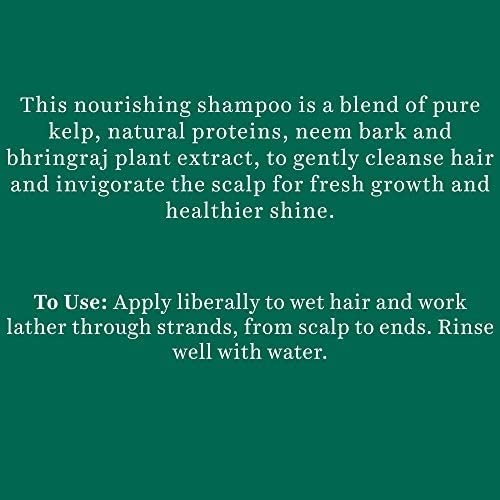Biotique Ocean Kelp Anti Hairfall Shampoo | Intensive Hair Growth Therapy| Anti Hairfall Shampoo that Maintains Shine |100% Botanical Extracts | Suitable for All Hair Types |180ml