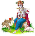 Rangoli Vinyl Wall Sticker Multicolour Vinyl Medium Size 40cm or 50 cm