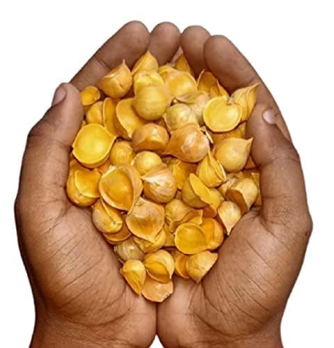 Namo Organics - 500g Kashmiri Mountain Garlic Lehsun | Certified Organic Single Clove Snow Mountain Garlic | Allium Sativum - Longer shelf life
