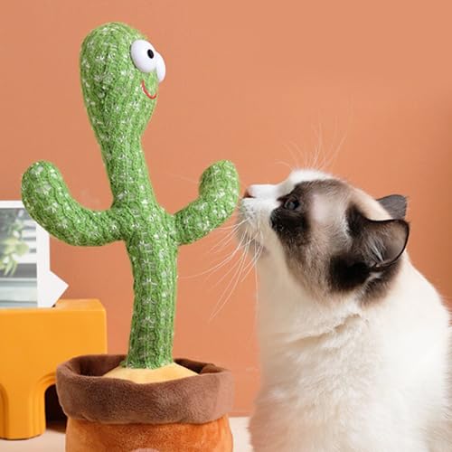Wembley Toys Dancing Cactus Talking Plush for Baby Children Speaking Interactive