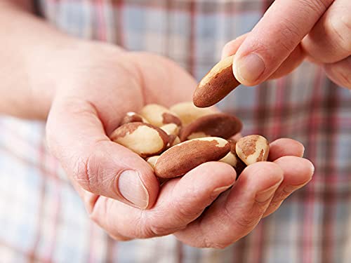 RiTrue - Exotic Brazil Nuts - 250 Gm - Brazilian Nut Organic | Raw | Rich Source of Selenium Protein Rich - Imported from Peru