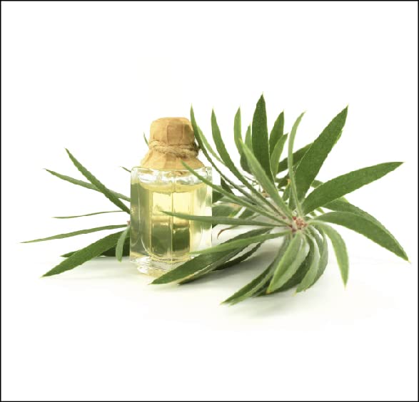 ZM Zayn & Myza Tea Tree Body Lotion - 500 ml