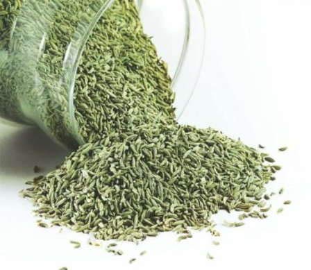 Jioo Organics Fennel Seeds(Lucknowi Saunf) - 100 gms