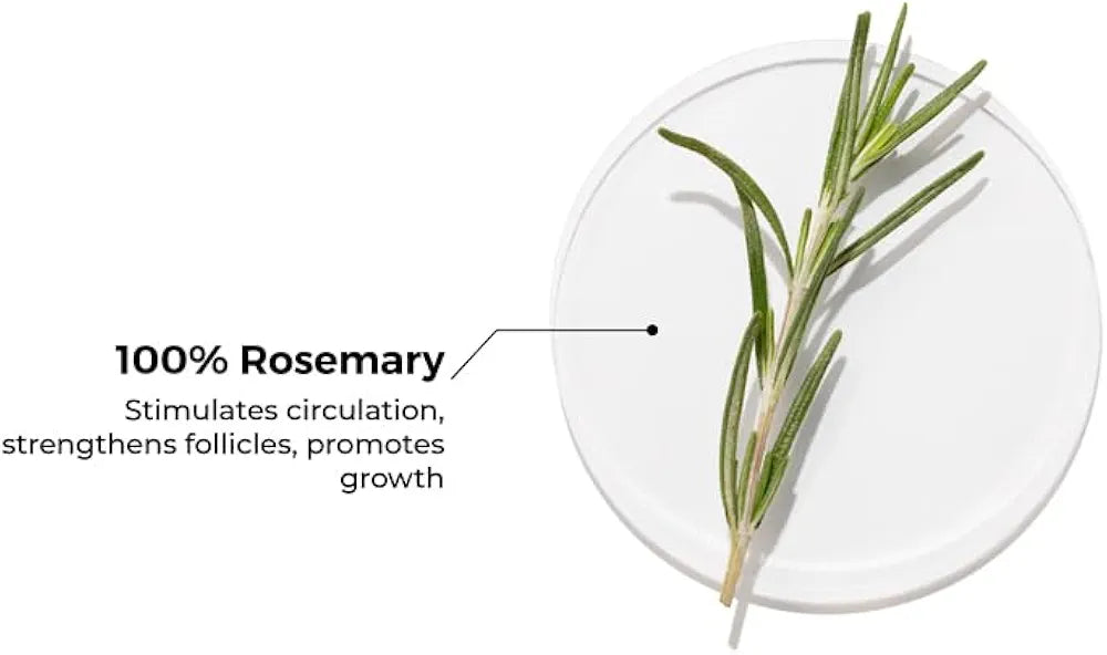 Brillare Pure Rosemary Essential Oil for Hair Growth & Scalp Nourishment - 15 ml