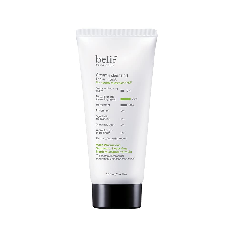 Belif Creamy Cleansing Foam 160ml