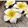 Artificial Big Foam Hawaaii Fake Foam Water Floating Flowers White