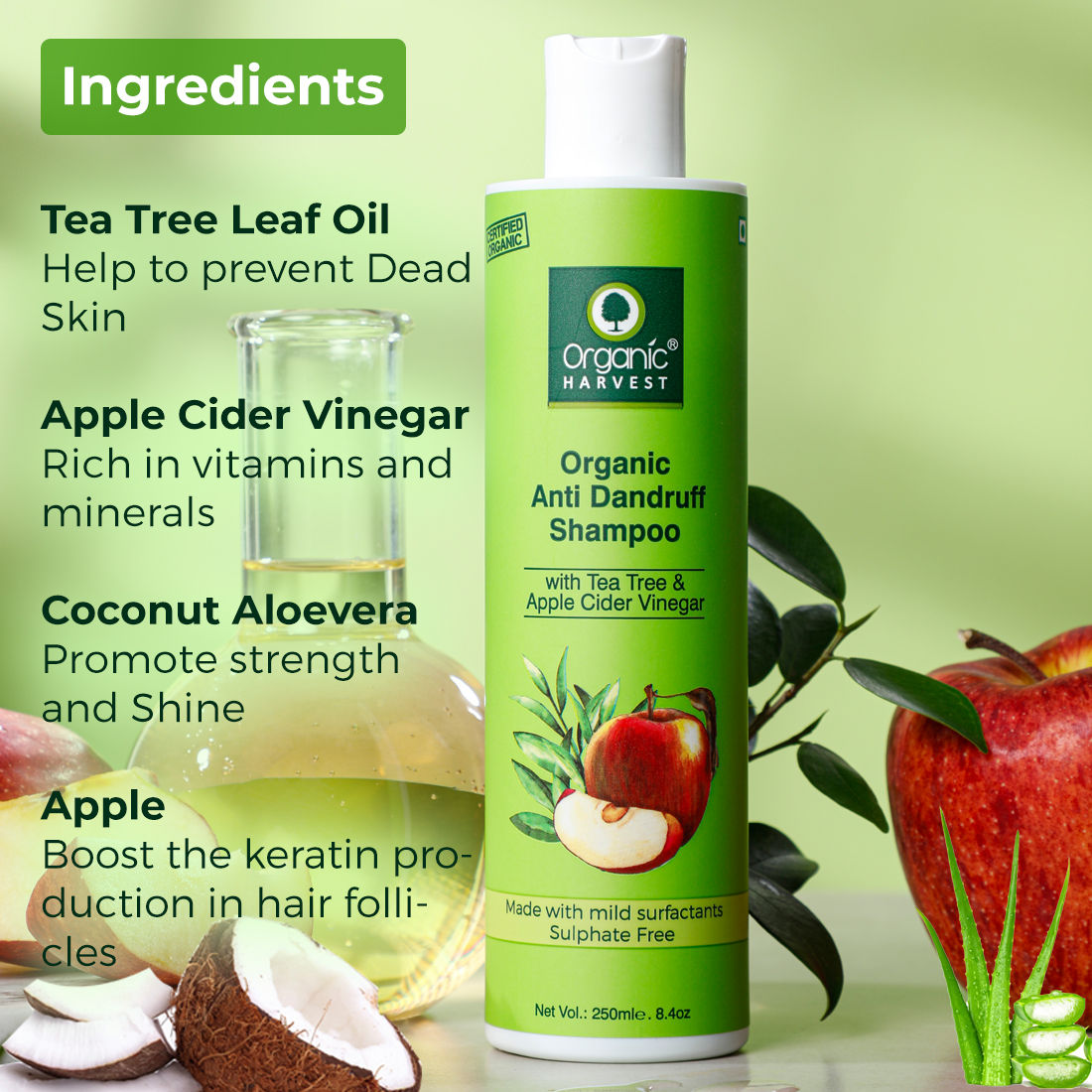 Organic Harvest Organic Anti Dandruff Shampoo With Tea Tree & Apple Cider Vinegar - 250