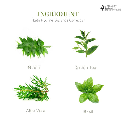 Khadi Natural Neem, Teatree and Basil Herbal Hair Oil