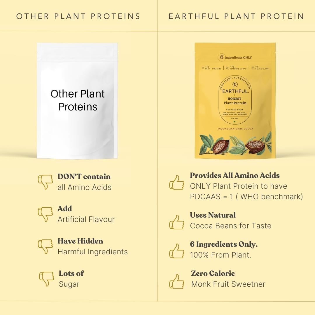 Earthful Honest Plant Protein Indonesian Cocoa - 504 gms