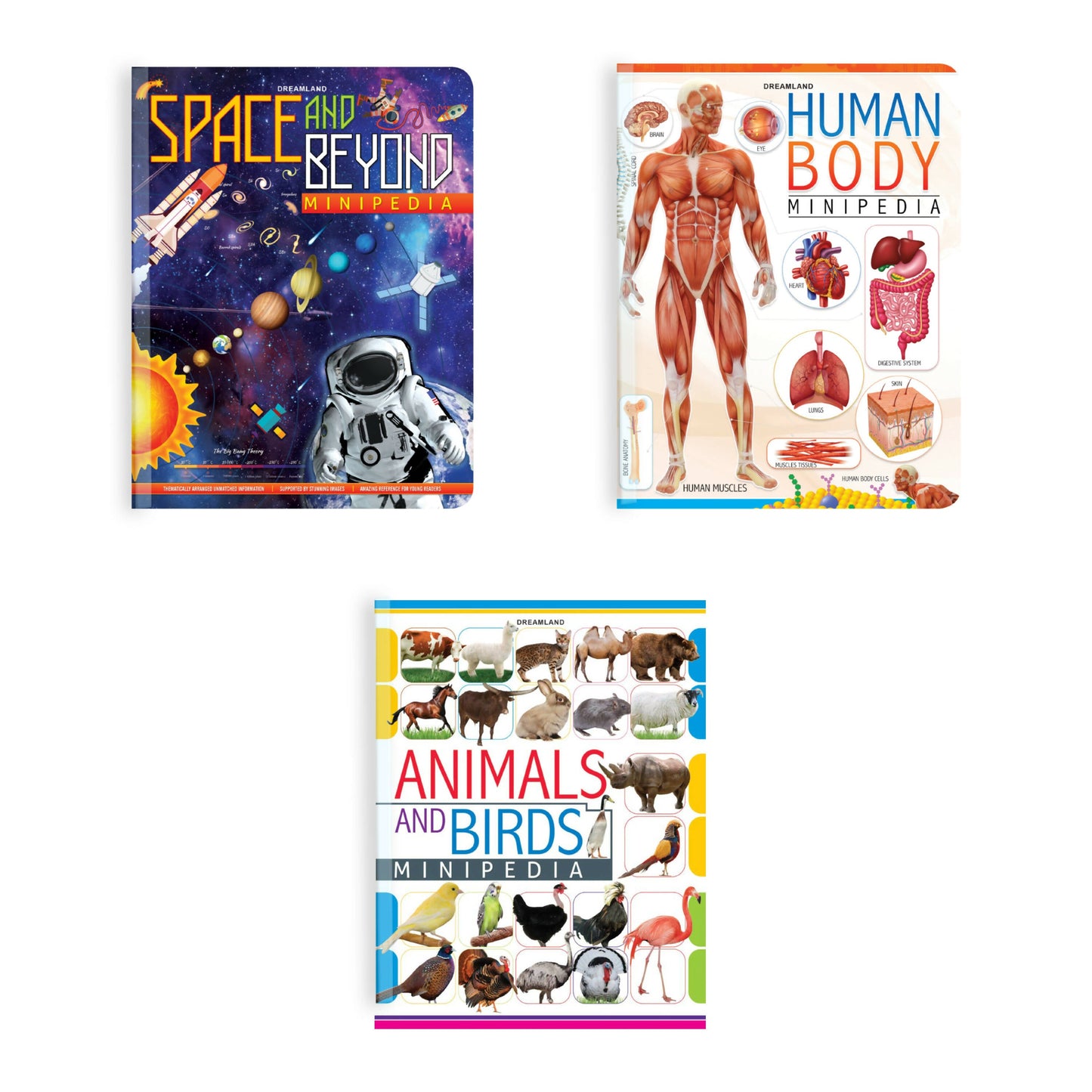 Dreamland Minipedia Series (A set of 3 Books)