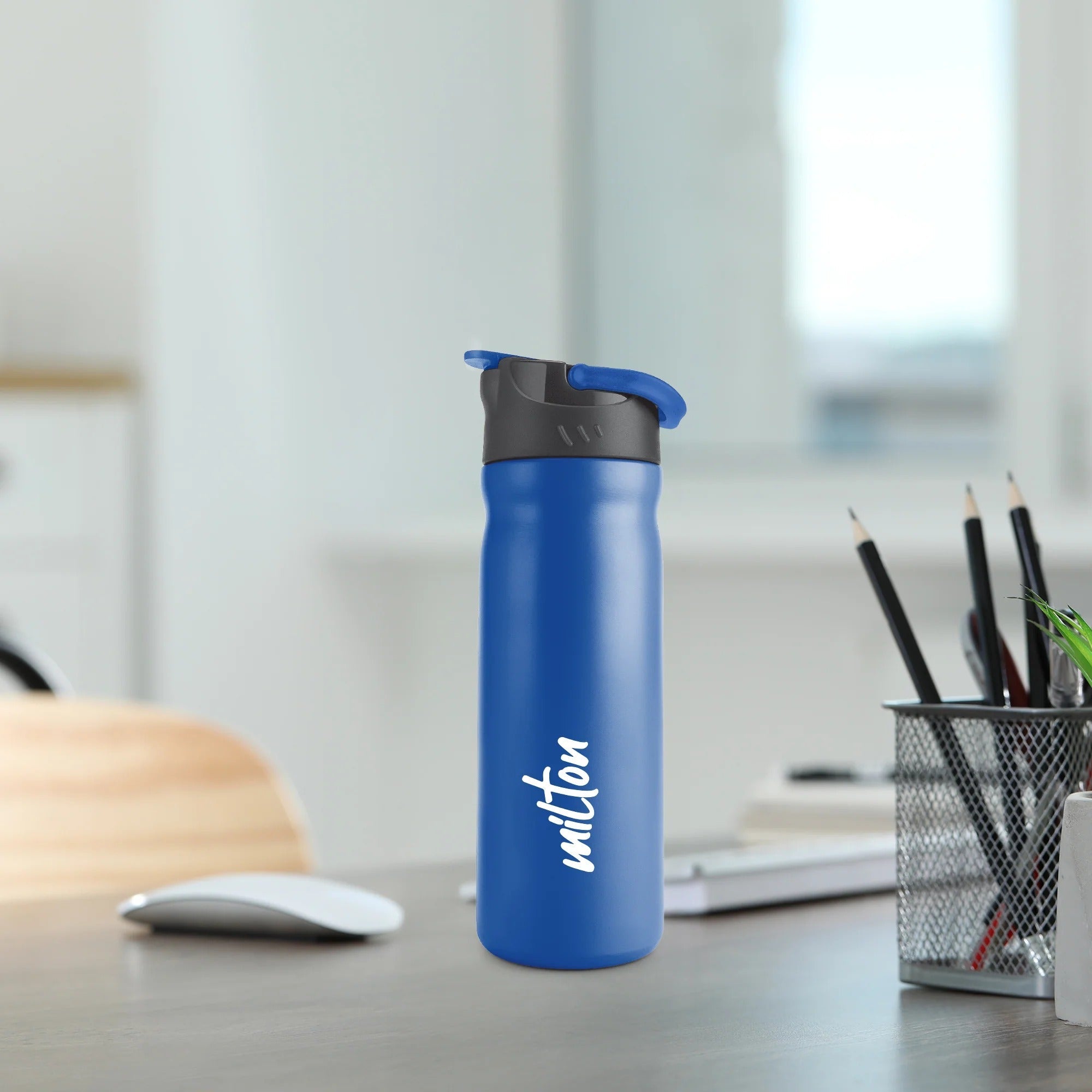 Milton Max Stainless Steel Bottle