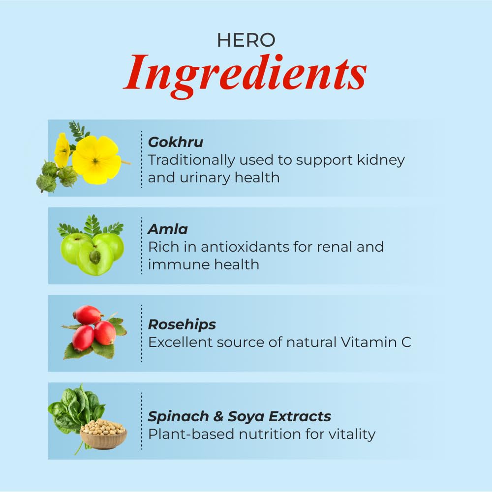 Patanjali Nutrela Renal Health | Whey Protein Supplement for Kidney Support â€“ 400g