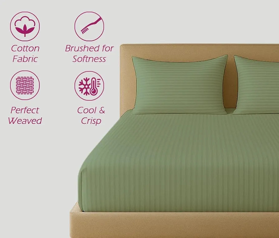 Trance Home Linen 100% Cotton 78x72 inch King Fitted 200TC Satin Stripe Elastic Fitted Bedsheet with 2 Pillow Covers Colour Moss Green