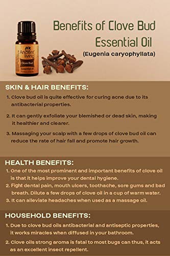 Ancient Living Organic Clove bud Essential oil - 10 ml
