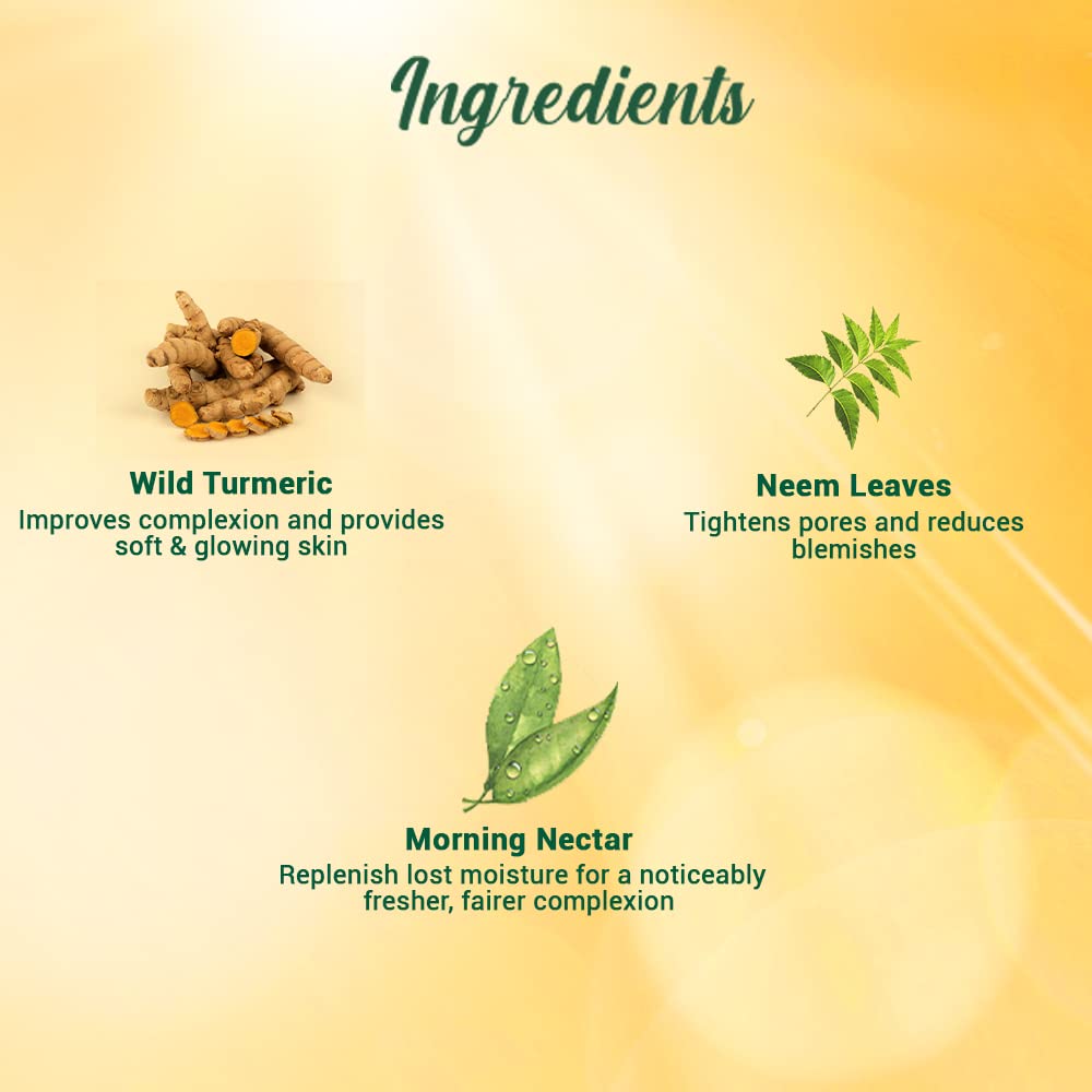 Biotique Morning Nectar Sun Protect Moisturizer SPF 30 UVA/UVB Sunscreen | Visibly Flawless Skin | Suitable for All Skin Types | 190ml