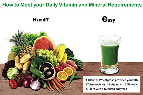 Go Organic Wheat Grass Powder 150 Count, Greens, Detox, Immune Support, Alkalize, Whole Leaf Powder, Vitamin K, Gluten Free, GMO Free, Kosher, Herbal Supplement