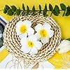 Artificial Big Foam Hawaaii Fake Foam Water Floating Flowers White