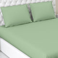 Haus & kinder Cotton Elastic Solid Fitted Bedsheet King Size 2 Pillow Covers colour Olive