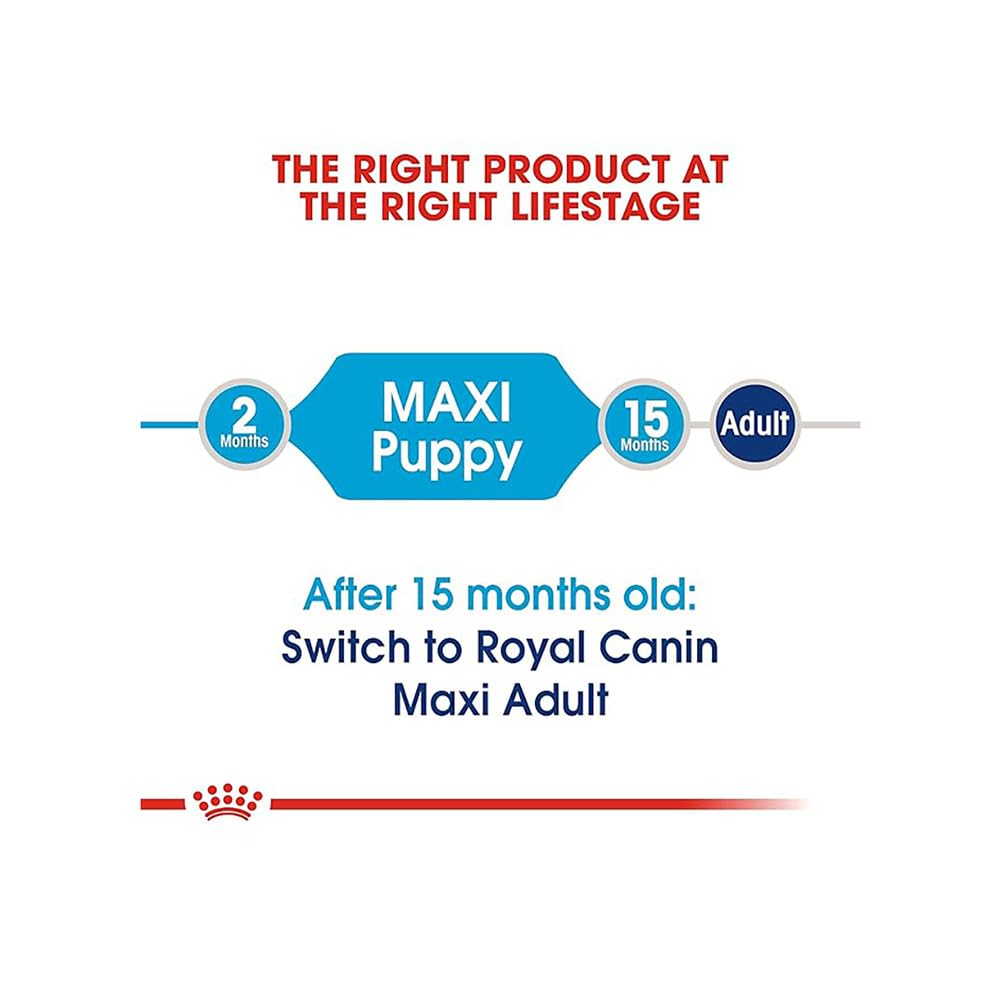 Royal Canin Maxi Puppy Food, Dry Food, Supports Immune System & digestive health, Provides Long growth, moderate energy, 1 Kg