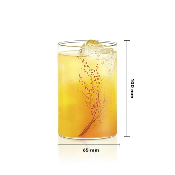 Borosil 295 ml Set of 6 Piece Cherry Vision Transparent Drinking Glass