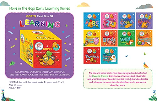 Learn Patterns And Pencil Control With Gopi (2-5 Years) By Sudha Murty